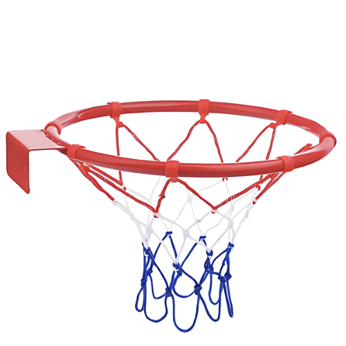 Wall Mounted Basketball Hoop with Metal Rim and Nylon Net