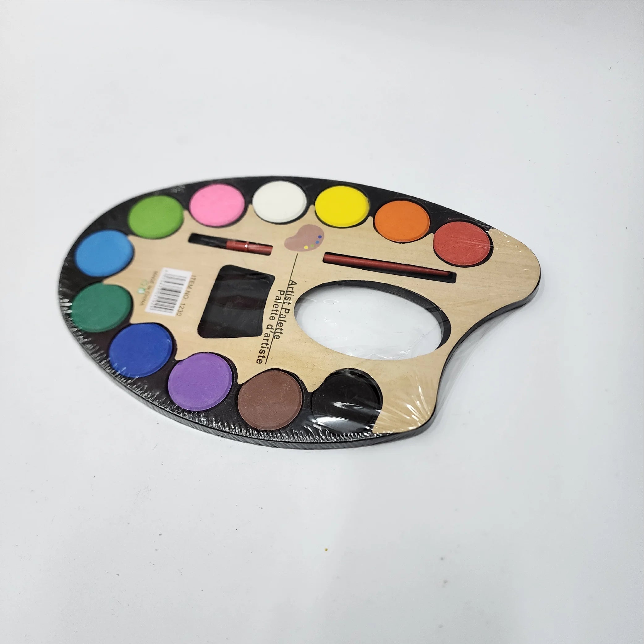 Artist Palette with 12 Colours