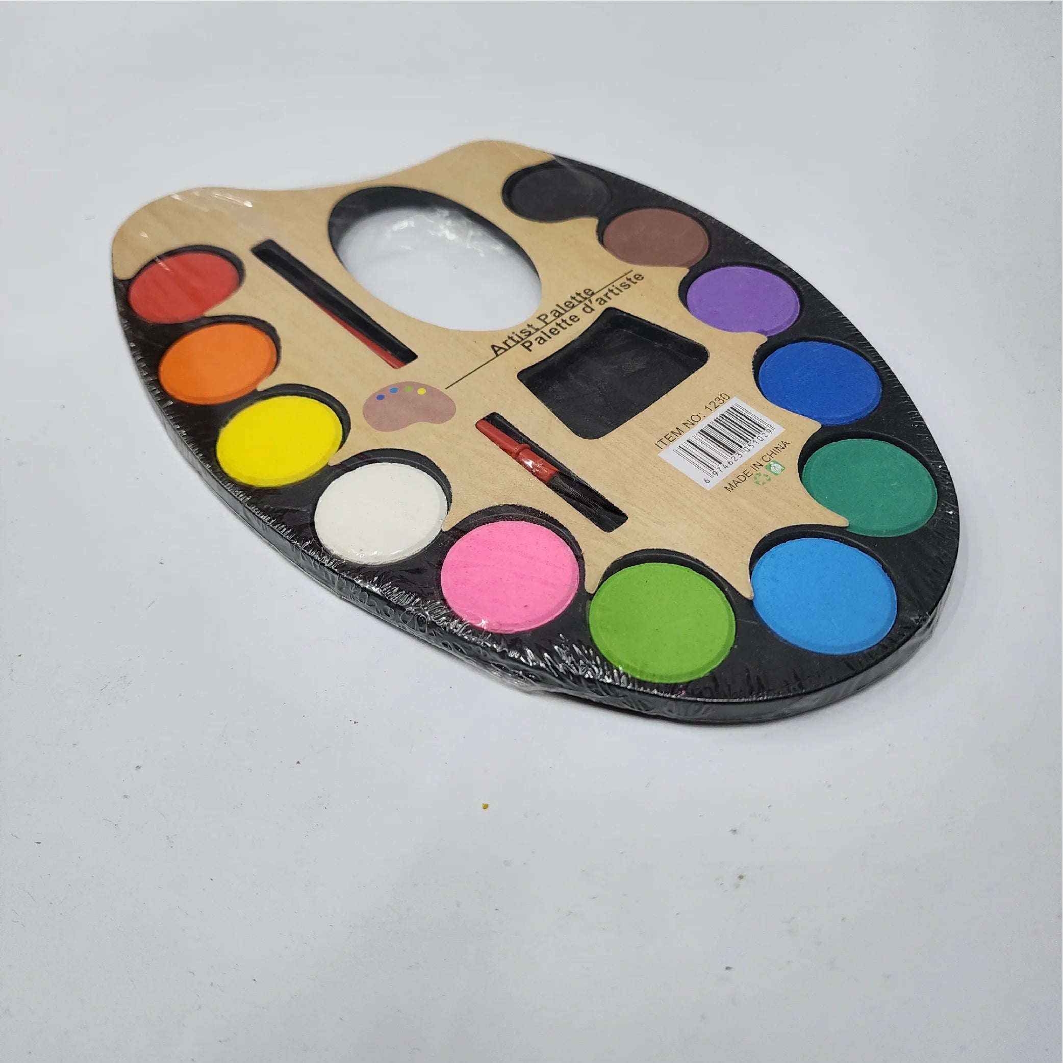 Artist Palette with 12 Colours