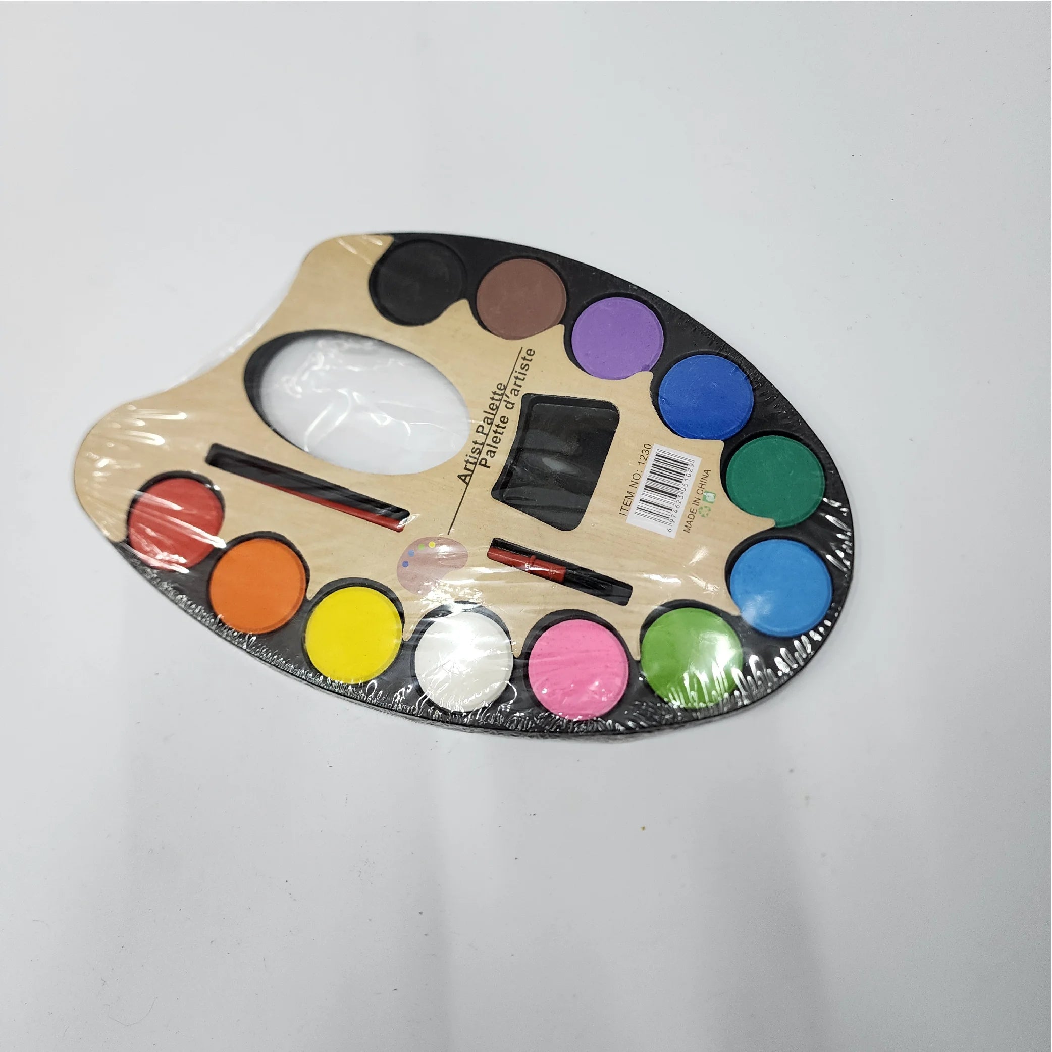 Artist Palette with 12 Colours