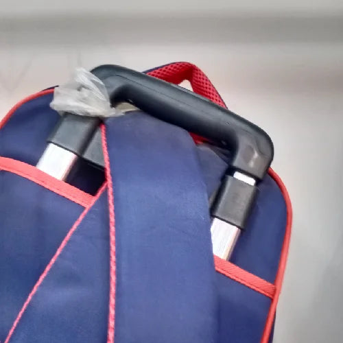 Character Trolley Bag