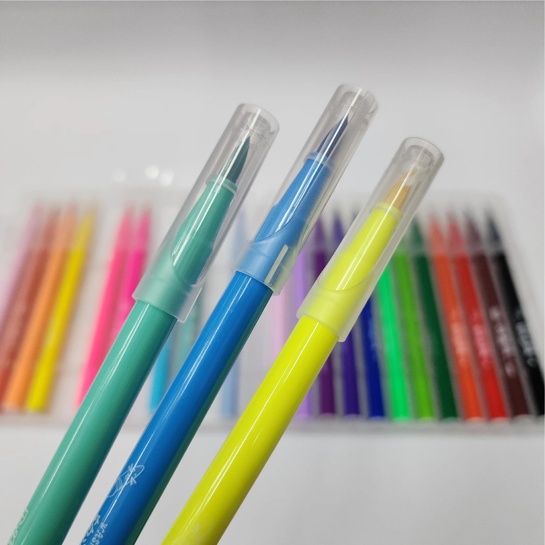Colour Pen with Transparent Cap 24-Piece Set