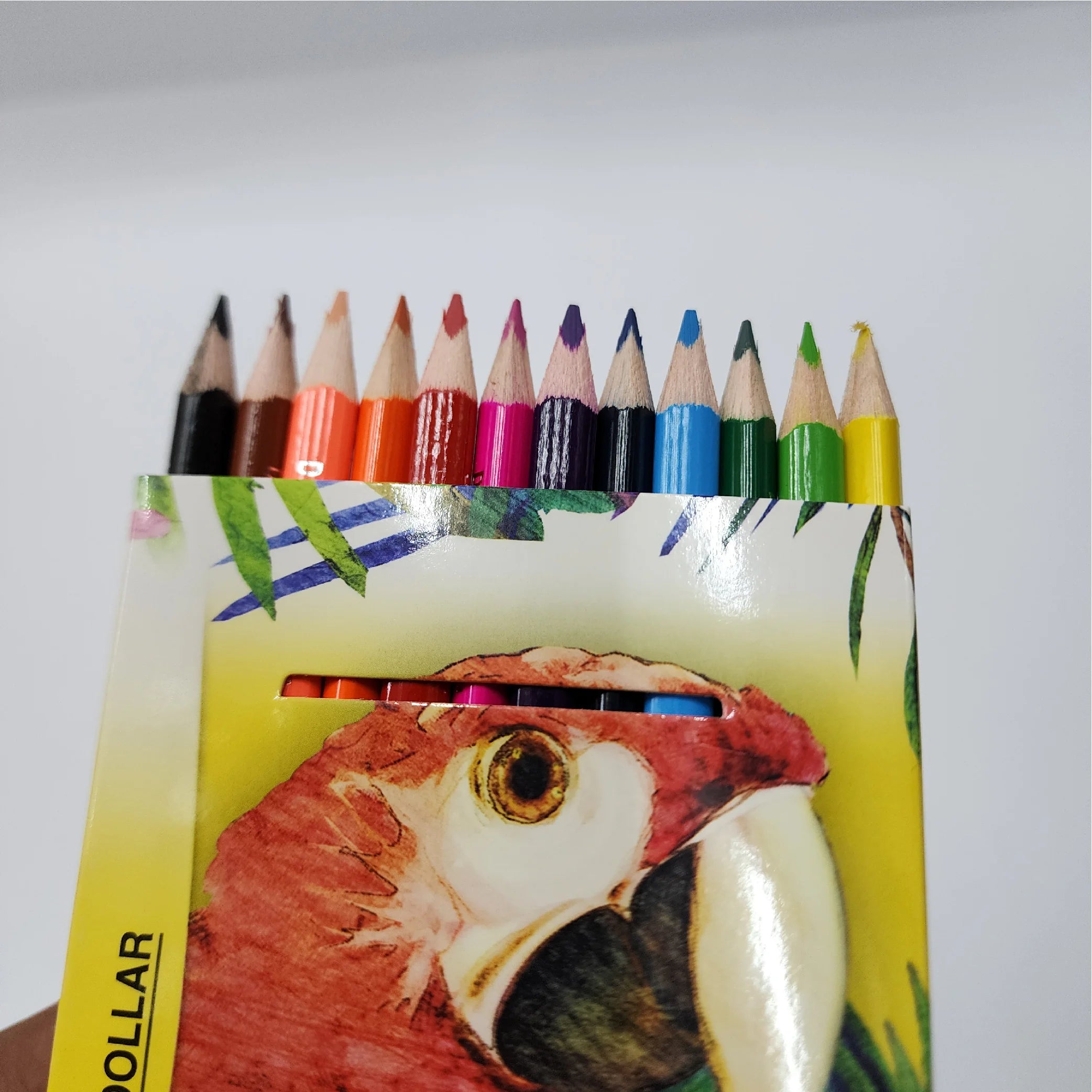 Dollar My Pencil Colour 12-Piece Set