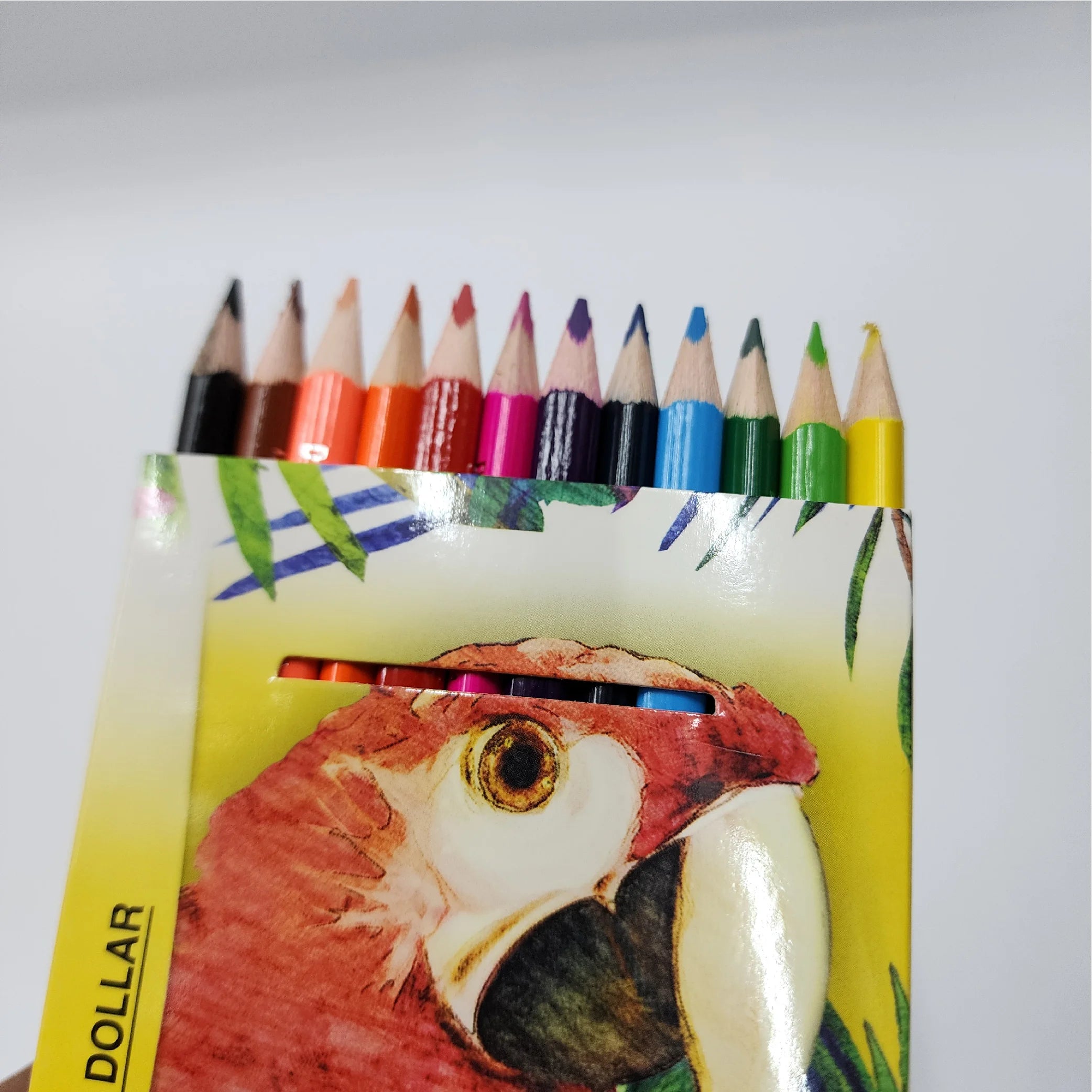 Dollar My Pencil Colour 12-Piece Set