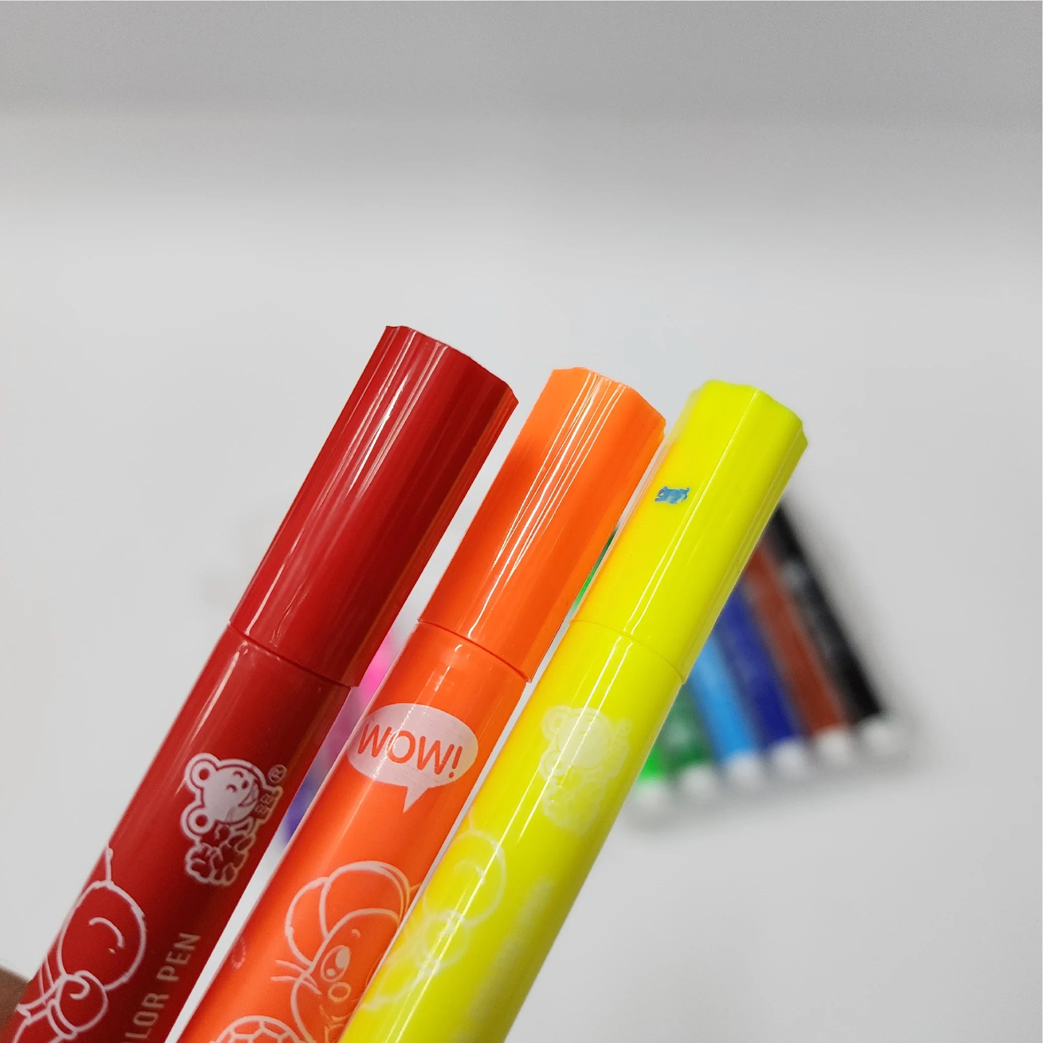 Washable Colour Pen 12-Piece Set